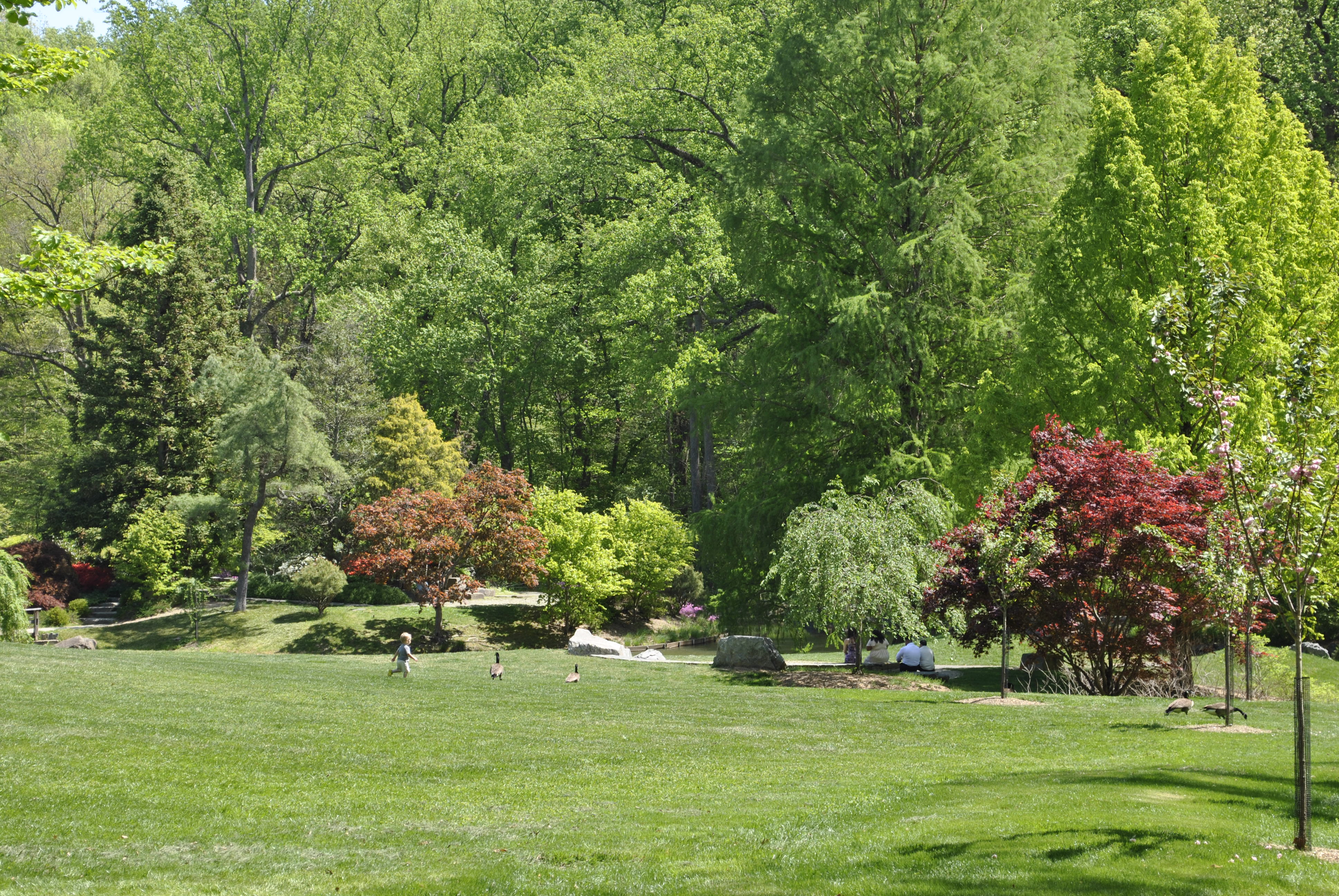 Brookside Gardens